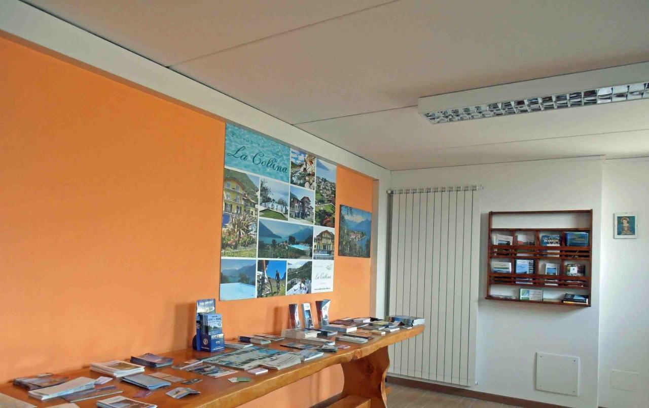 La Collina Degli Ulivi Daire Vercana Dış mekan fotoğraf